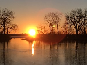 IMG_7795